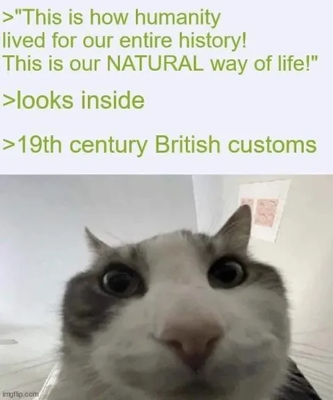 19th Century British Customs Cat