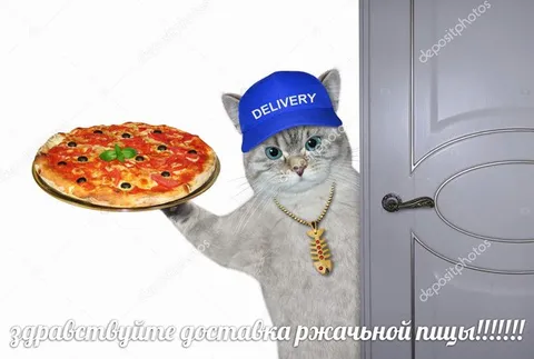 Здравствуйте, доставка ржачной пицы