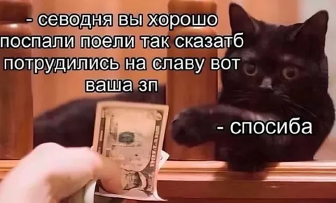 Вот ваша зарплата