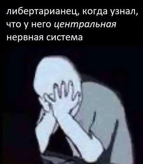 Либертарианец узнал о ЦНС