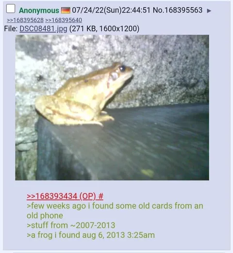 A Frog From 2013