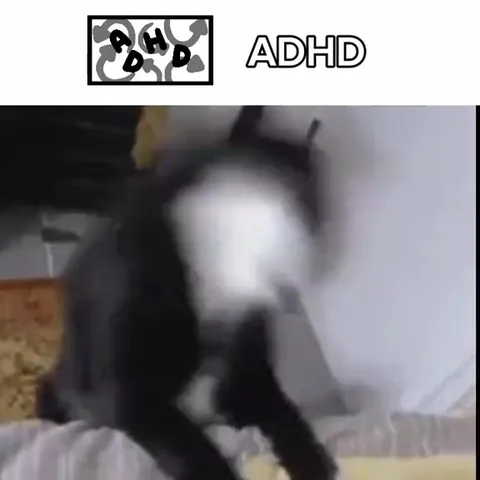 Cats With Every Disorder