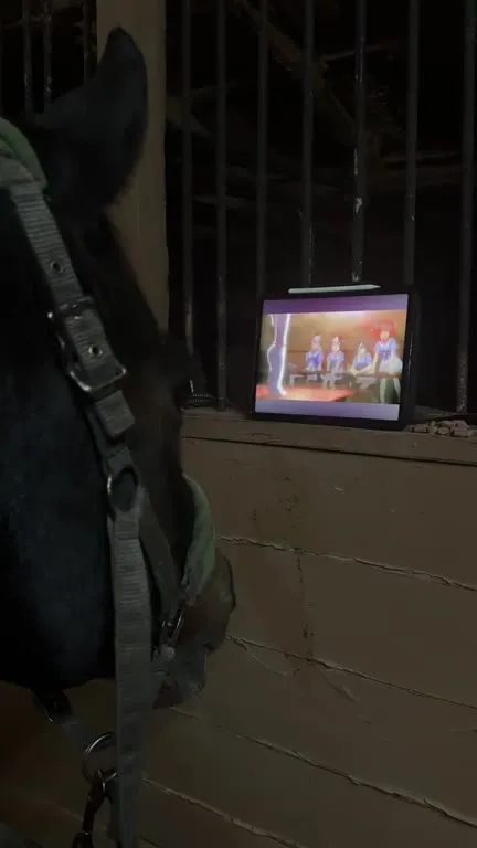 Horse Needs His Uma Musume