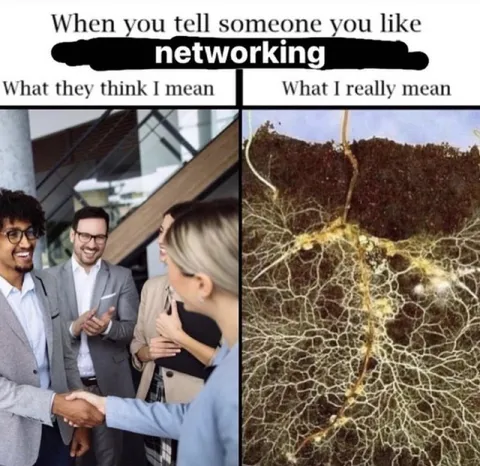 What I Really Mean by Networking