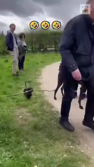 Through, Mate! Of That Stick!