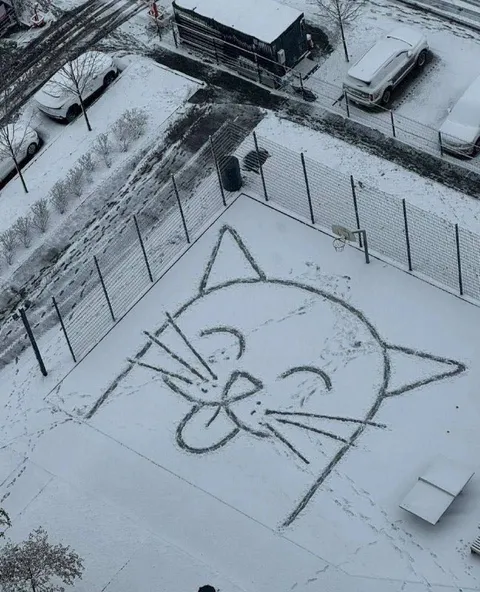 Кот на снежной площадке