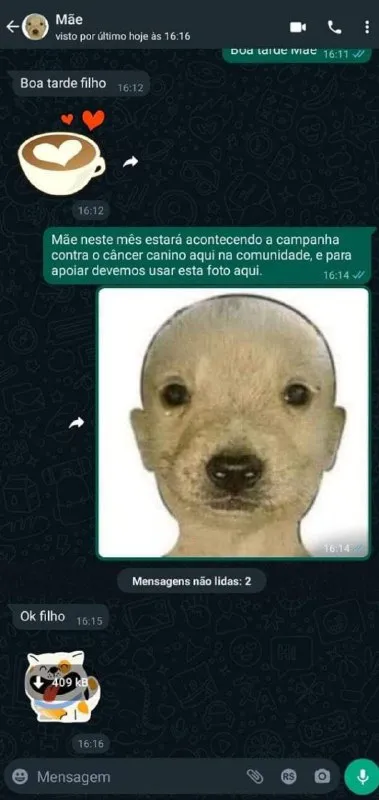 Campanha contra o câncer canino