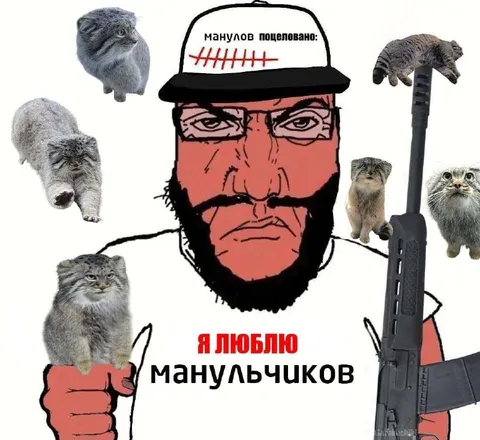 Я люблю манульчков