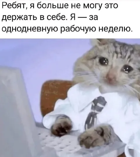 Кот за однодневную рабочую неделю