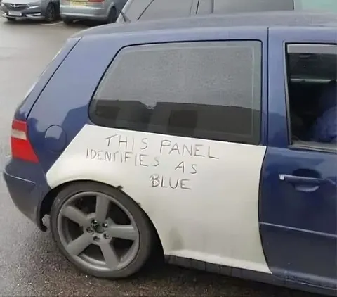 This Panel Identifies as Blue