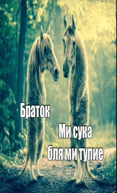 Два тупых братка