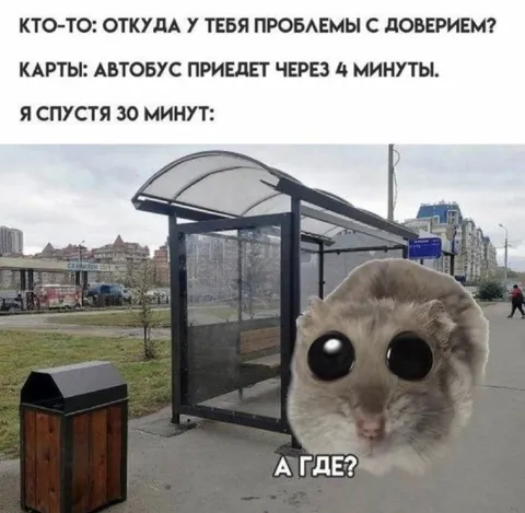 Кот ждёт автобус 30 минут