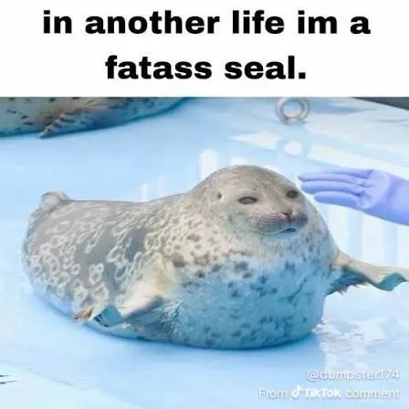 Fatass Seal in Another Life
