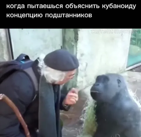 Объяснение концепции подштанников кубаноиду