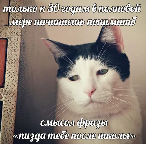 Понимание фразы после школы