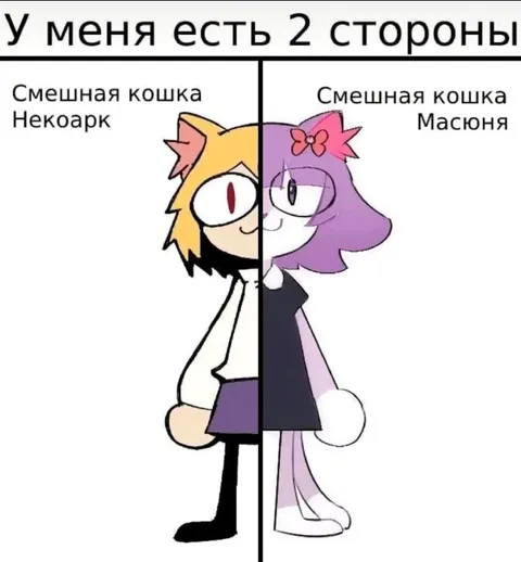 У меня есть две стороны