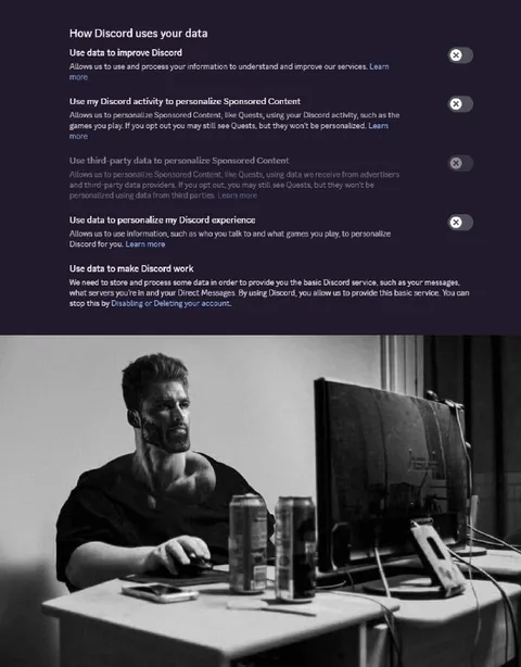 Discord Data Privacy Settings