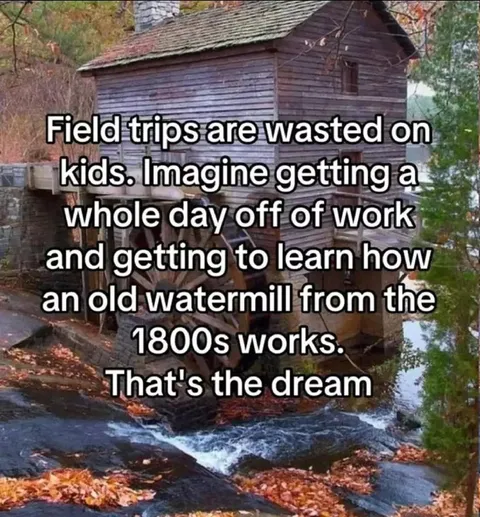 The Dream Field Trip