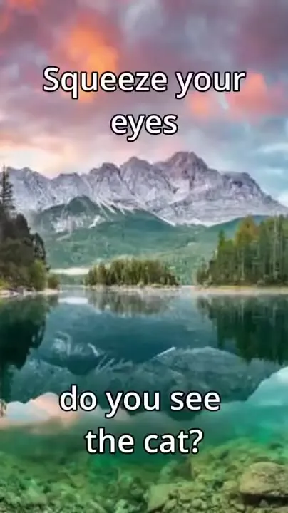 Can You See the Cat?