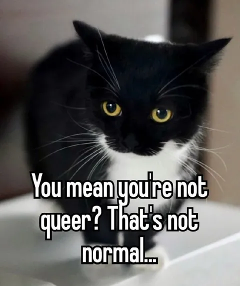 You’re Not Queer? That’s Not Normal