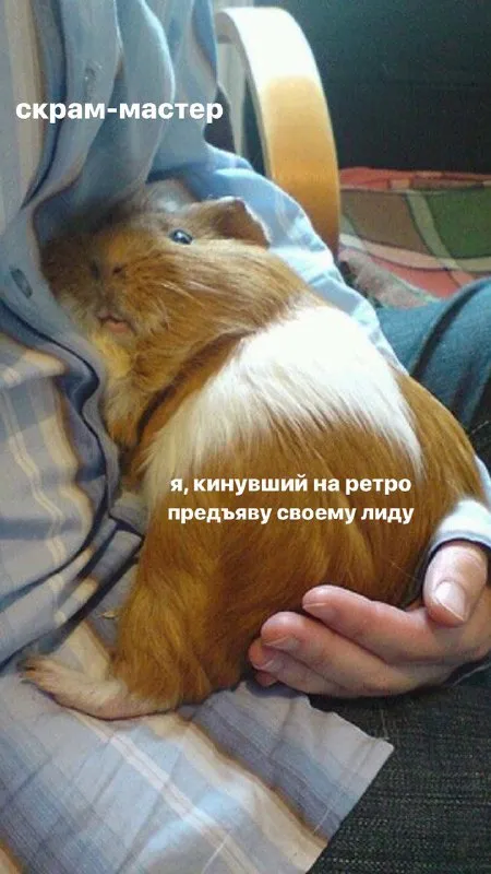 Кинувший на ретро предъяву