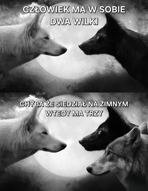 Człowiek ma w sobie trzy wilki