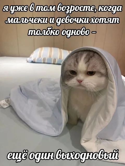 Ещё один выходновый
