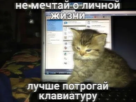 Не мечтай о личной жизни