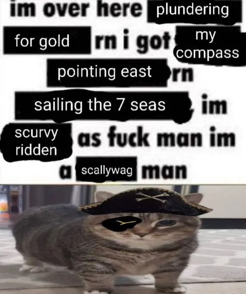 Pirate Cat Plundering for Gold