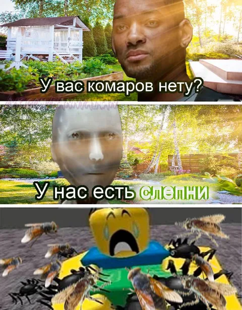 У вас комаров нету?
