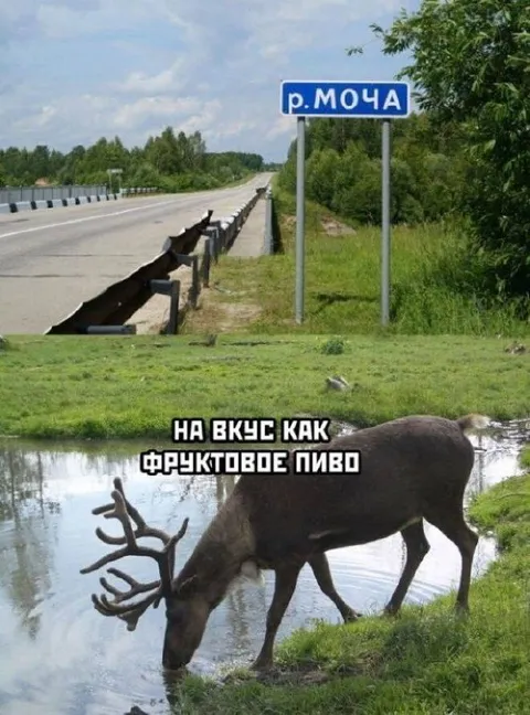 Река Моча и фруктовое пиво