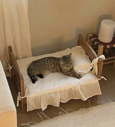 Котёнок спит в детской кроватке