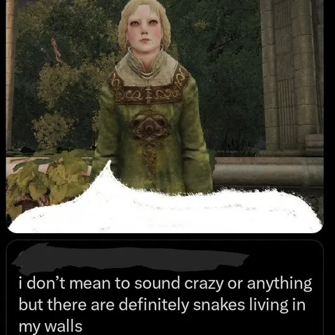 Snakes Living in My Walls
