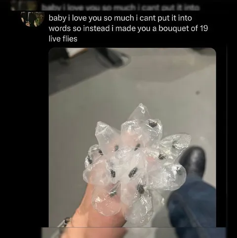 Bouquet of 19 Live Flies