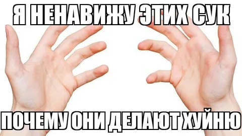 Я ненавижу этих сук