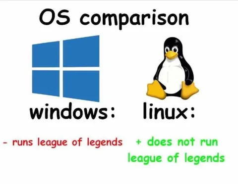 Linux Does Not Run League of Legends