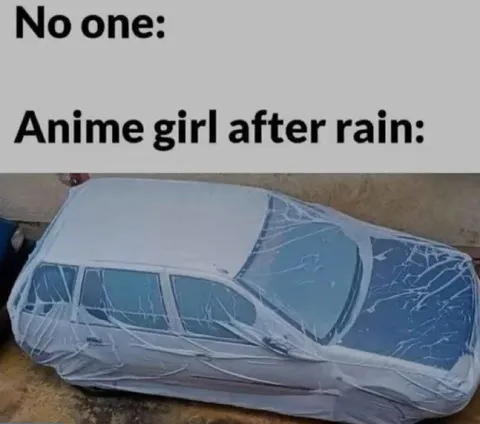 Anime Girl After Rain