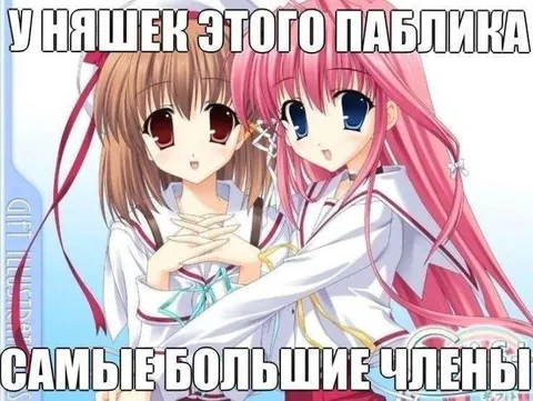 У няшек этого Павлика