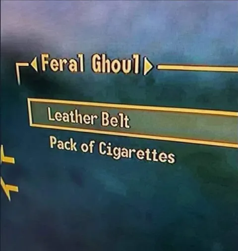 Feral Ghoul Loadout
