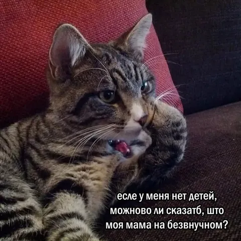 Мама на беззвучном