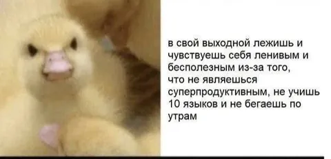 Лежишь в свой выходной
