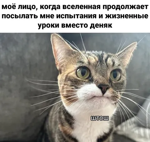 Вселенная вместо денег