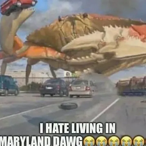 I Hate Living in Maryland