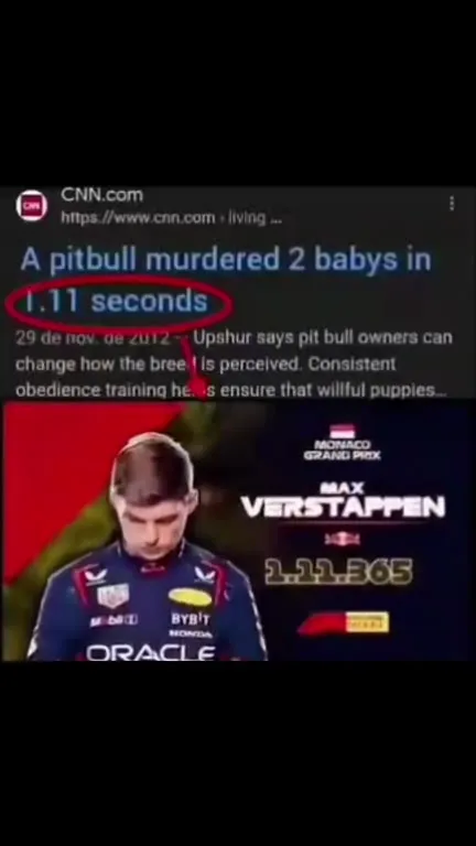 Pitbull Wins in 1.11 Seconds
