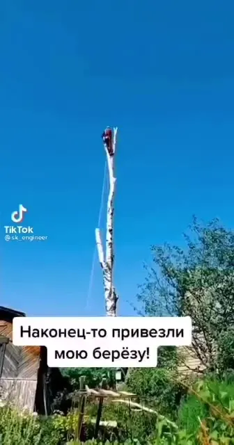 Наконец-то привезли мою берёзу
