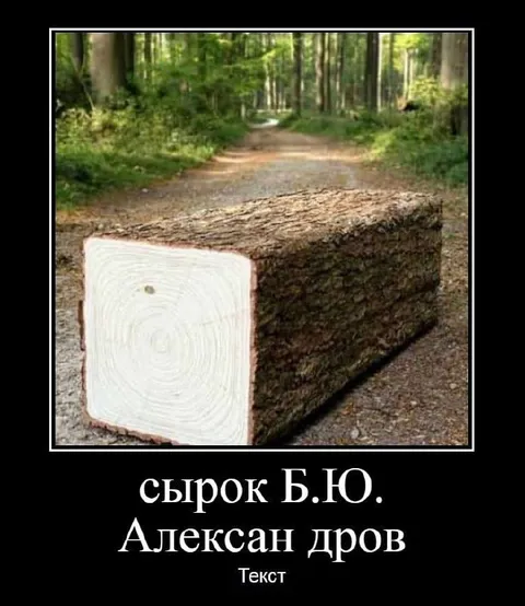 Сырок Б.Ю. Алексан дров