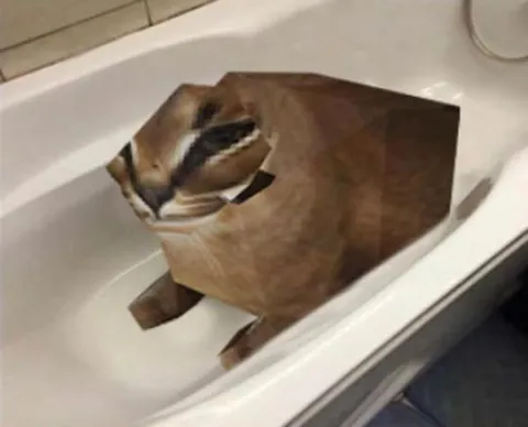 Кот в форме многогранника