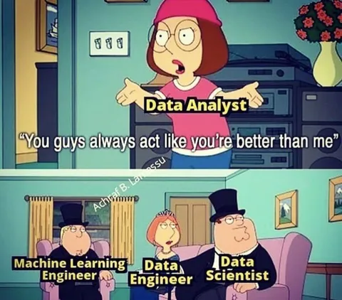 Data Team Hierarchy