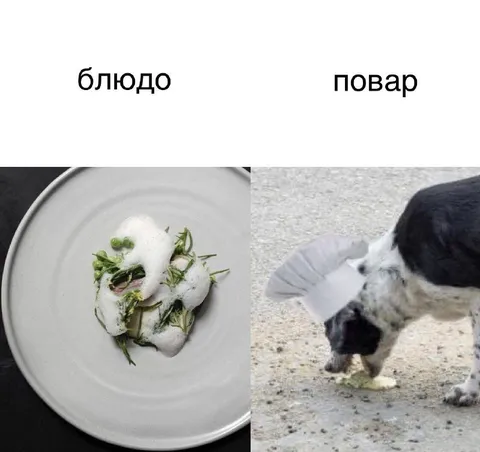 Блюдо от шеф-повара