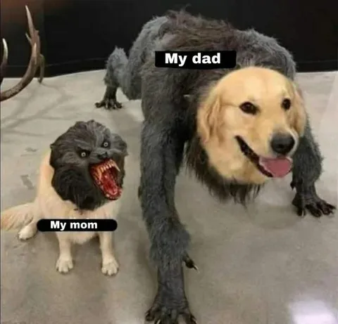 My Dad and My Mom